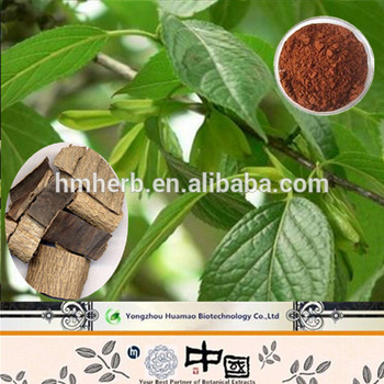 Eucommia Leaf Extract 10%-98% Chlorogenic acid 